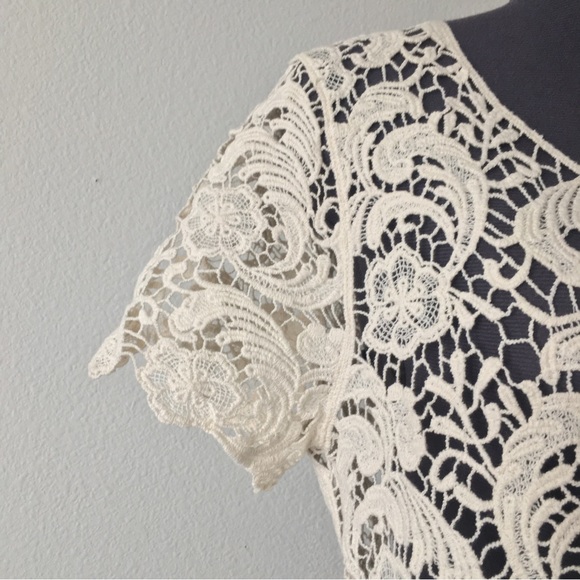 Beautiful Lace Cropped Top - Picture 3 of 4